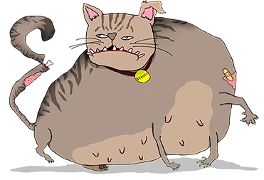 Kæledyr og dyrlæger